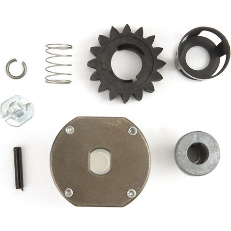 Kit nez pour démarreur Briggs & Stratton 495878-696540 (1/5)