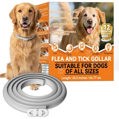 Collier Anti puces pour Chien Imperméable (Protection 8 Mois), Collier Ajustable de 65cm Contre Puces, Tiques et Larves, Convient aux Petits, Moyens et Grands Chiens (1/5)