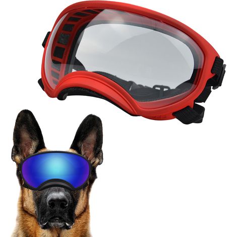 Lunettes de protection pour chiens de race moyenne à grande, protection UV, verres magnétiques transparents, coupe-vent, adaptées aux sports d'hiver (1/5)