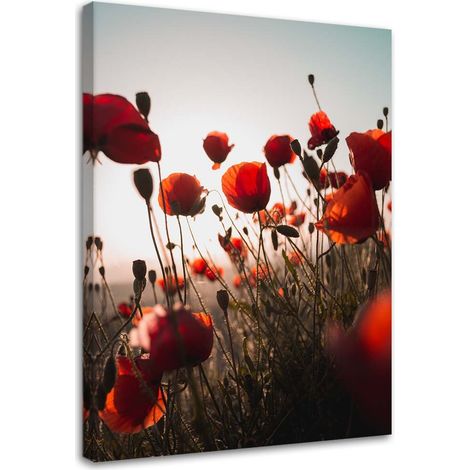 Tableau sur toile Pavot rouge dans les fleurs des champs 40x60 (1/5)