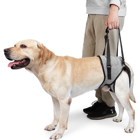 Harnais Soutien Arrière Réglable pour Chien - Aide à la Mobilité avec Poignée - pour Chien Handicapé, Blessé, Âgé - (Gris, XL) (1/5)