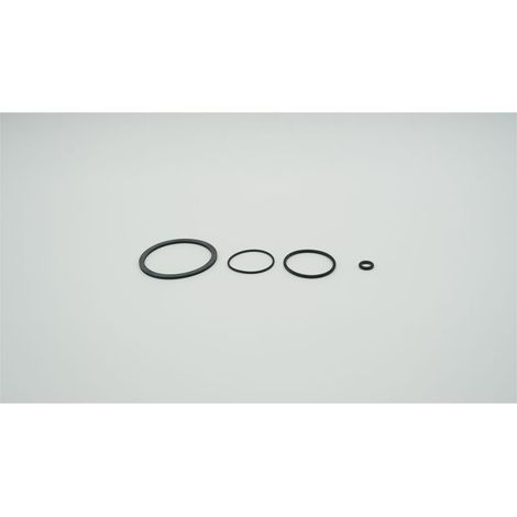 BWT Dichtungsset für Infinity A und AP, trinkwasserkonform, 2-060621