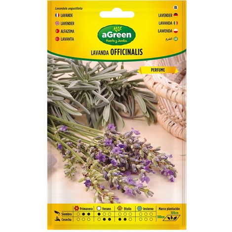 Beutel mit Lavendelsamen Officinalis 301031BOLSH Agreen