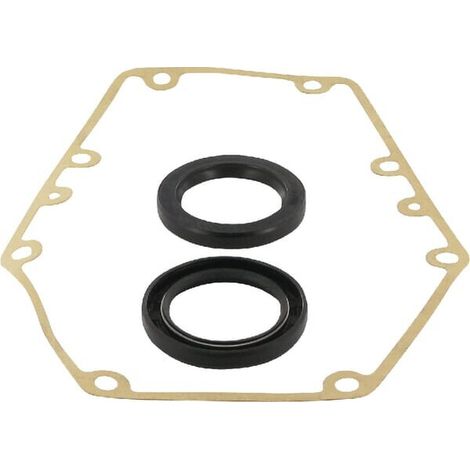 Dichtungssatz GBF-20-S/ AS-B BORELLI GBF209SAFD