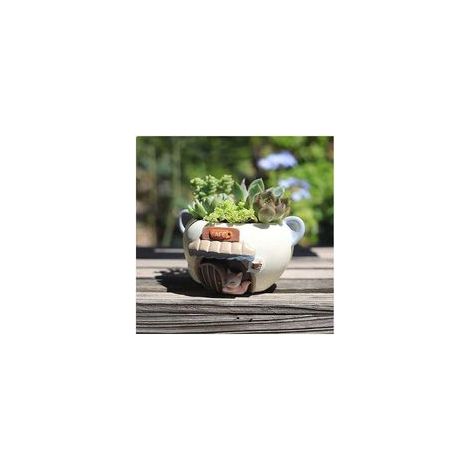 Pot de fleurs pour plantes succulentes, pot de 4 pouces, pot de fleurs, pot de plantes d'intérieur avec drainage, pot de plantes d'intérieur (renard, 1 paquet) (1/4)