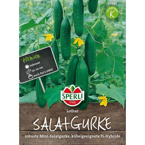 Gemüsesamen, Salatgurke 'Lothar' (1/4)
