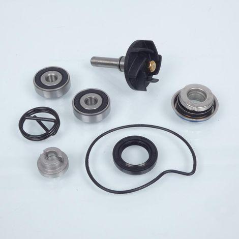 Pompe à eau Sifam pour Scooter Aprilia 125 Atlantic 2006 à 2012 (1/3)