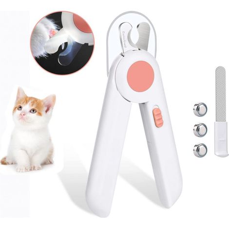 Lampe de poche avec lumière LED pour chiens chats, 2 en 1, rose