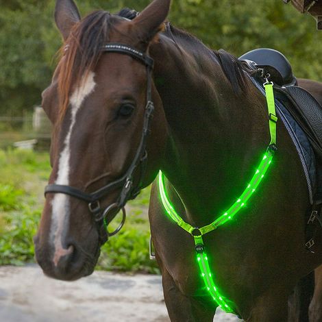 Collier de poitrail LED haute visibilité pour l'équitation, équipement de sécurité ajustable (1/5)