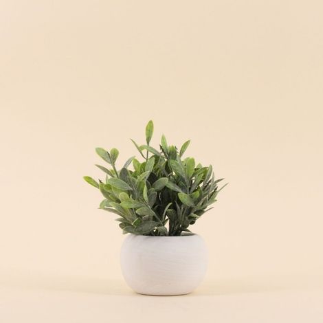 Plante artificielle pot ciment blanc 18cm