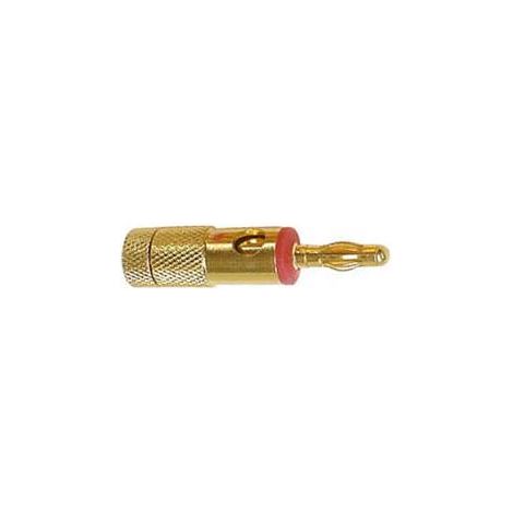 FICHES BANANES DOREES 4mm - ROUGE CM25R RI1213