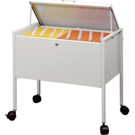 Durable 309810 scatola per la conservazione di documenti Acciaio Grigio