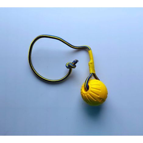 Asas de pelota, Juguete para animales, Grande, 22 cm, Sin inflar, blanco azul, Pelota para perros, Pelota de juego para perros (1/5)