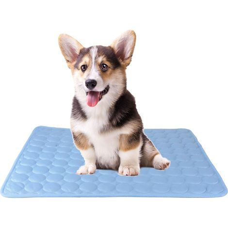 CoolCore Kühlmatte für Hunde, Kühlmatte für Katzen, Kühlkissen für Katzen und Hunde, ungiftig, blau, s-Fei Yu (1/5)
