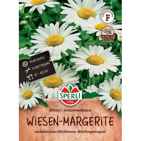 Wiesen-Margeriten SPERLI's Schneeweißchen - Blumensamen (1/2)