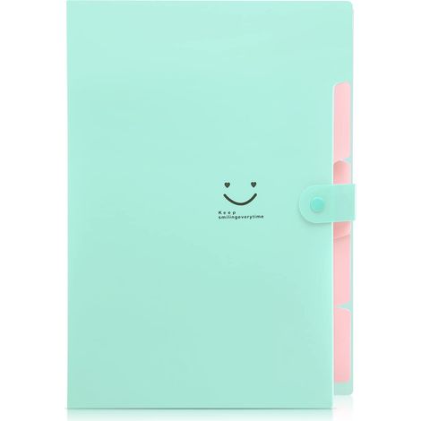 Dossier Accordéon - Classeur À Pochettes Pour Documents A4 - Organiseur De Papier Extensible - 150 À 200 Pages - 1 Pièce (1/5)