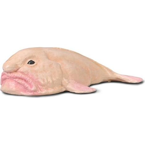 pez borrón