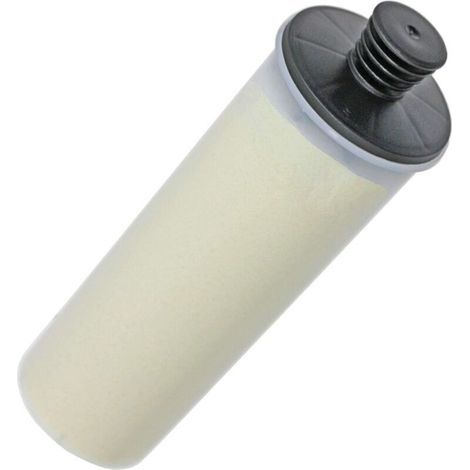 Cartouche filtrante détartrante pour nettoyeur vapeur Karcher SC3 (1/4)