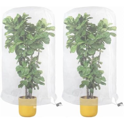 Filet pour Arbre Fruitier, Lot de 2 Filet de Protection Contre Les Insectes, Filet de Protection des Plantes, Filet de Protection Les Parasites, pour Légumes, Fleurs, Fruits, 0,8 x 0,8 m (1/4)