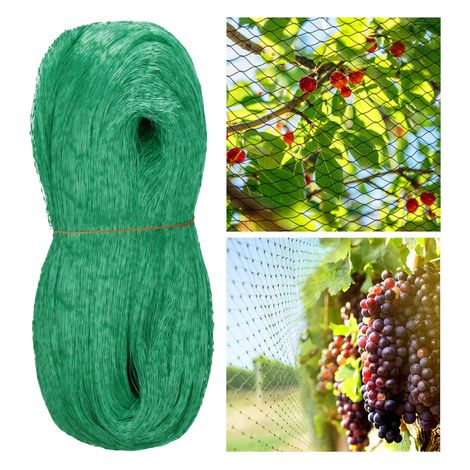 Rete di protezione anti-uccelli per alberi e arbusti 4x5m, colore verde