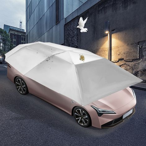 4.2m halbautomatisches Auto-Zelt abnehmbarer Sonnenschutz Markise (1/5)