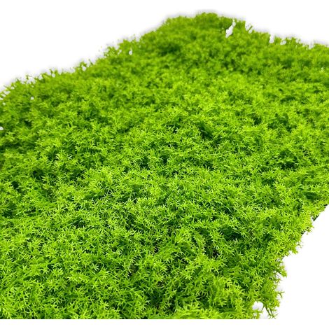 Sfondo BioPlant, tappetino artificiale modulare per terrario, licheni, luce 75x25 cm (1/5)