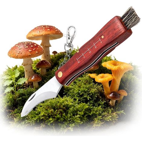 Pilzmesser mit Bürste und Lineal, Klappmesser mit Holzgriff