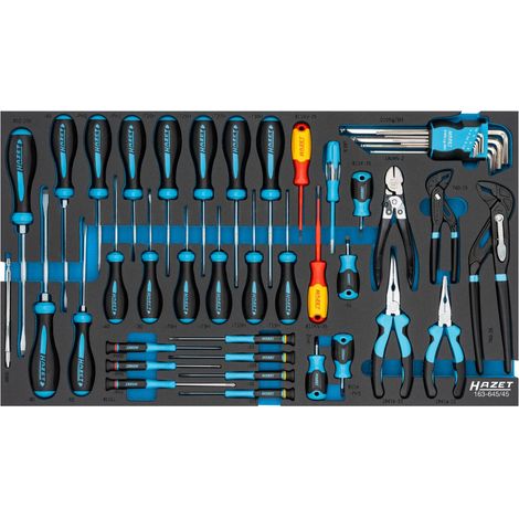 HAZET JEU D'OUTILS 163-645/45, 45 PIÈCES, TOURNEVIS, TOURNEVIS VDE, PINCES, OUTILS POUR L'ÉLECTRONIQUE, CLÉ ALLEN, CHEVILLE DE C