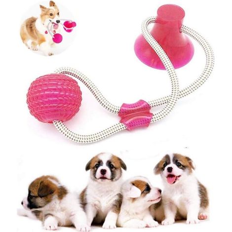 Jouet à mâcher multifonctionnel pour animaux de compagnie avec ventouse (1/5)