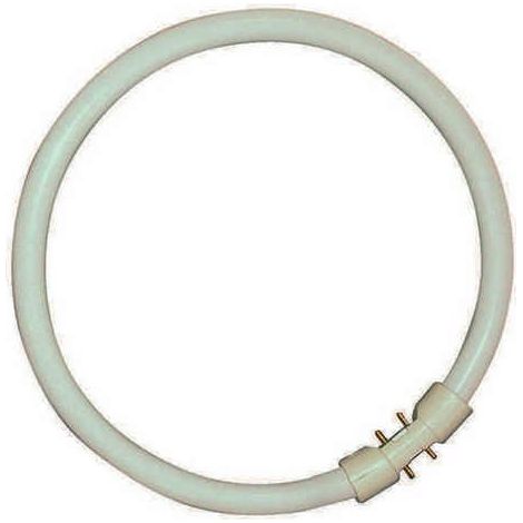 Sylvania 0000521 Ampullenröhre Leuchtstofflampe T5 CIRCLINE PLUS 22 W/840 (1/3)