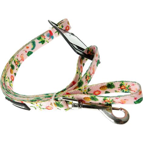 Laisse SERA rose 120 cm x 15 mm, pour chiens. - Flamingo (1/3)