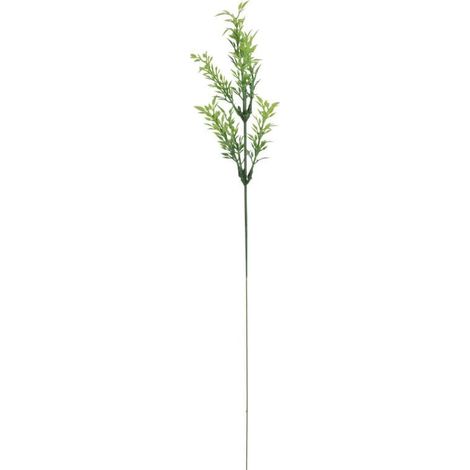 Rametto verde di timo 57 cm (1/3)