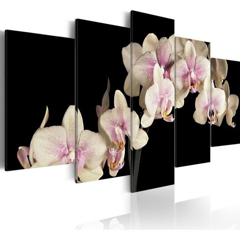 Tableau Imprimé "Orchidée sur Fond Contrasté" 50 x 100 cm (1/2)