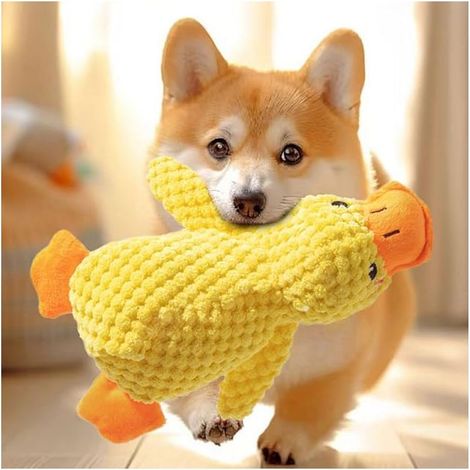 Petit jouet en peluche pour chien, jouet couineur, jouet doux pour chiot, convient aux chiens de petite et moyenne taille, 25 cm. (1/5)