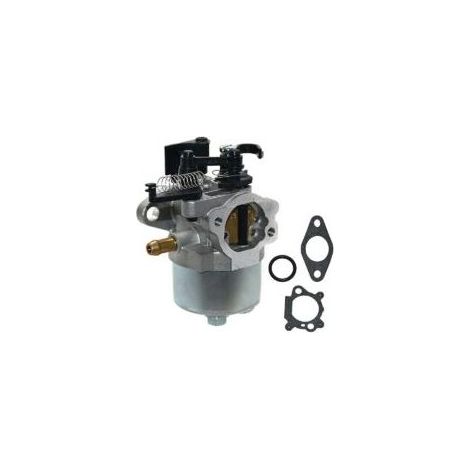 Carburetor Kit For Briggs&stratton Dov 700 750 792038 Lawn Mower Part (1/4)