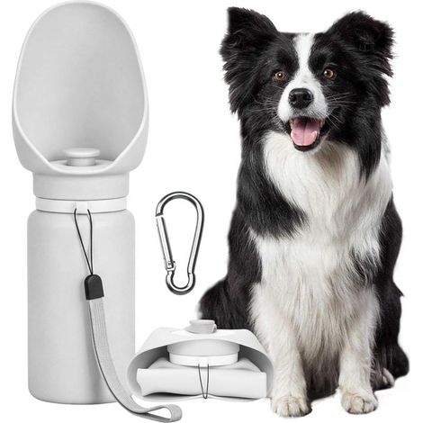 Gourde pour Chien Nomade, 550 ML, Pliable, avec Mousqueton, en Silicone, idéale pour Les promenades, la randonnée et Les Voyages avec Chiens et Chats (1/5)