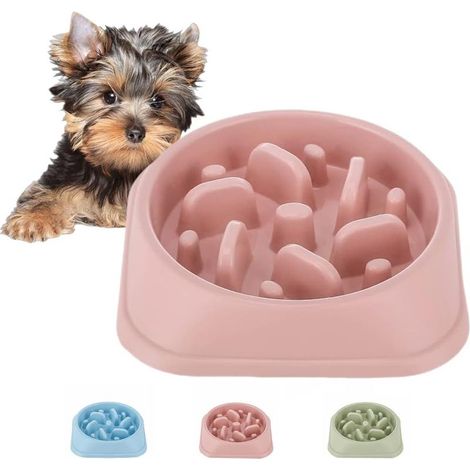 Alimentation Lente, Plats d'alimentation antidérapants, évitant l'étouffement du Bol Amusant pour Les Petits et Moyens Chiens Rose (1/5)