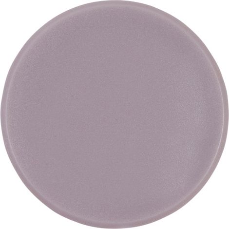 magnetoplan Magnet Basic Serie (Ø) 38 mm rund Grau 10 St. 1863801