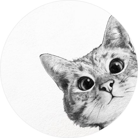 Papier peint panoramique chat noir & blanc | Tapisserie panoramique animaux blanche & grise chambre enfant | Papier peint panoramique chambre ado - 140 x 140 cm (3 pièces) (1/2)