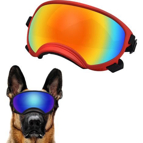 Lunettes de protection pour chiens de race moyenne à grande, protection UV, verres magnétiques transparents, coupe-vent, pour sports d'hiver. (1/5)