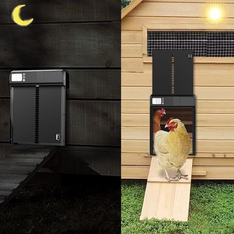 Porte automatique pour poulailler métallique avec minuterie intégrée, étanche IPX4 compatible toutes dimensions