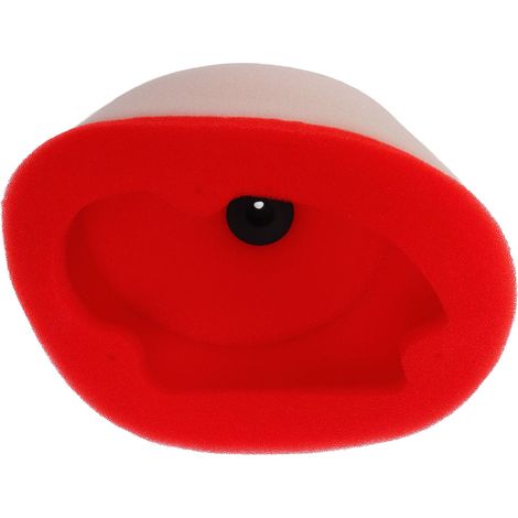 Filtre à air double mousse pour moto, protection moteur, filtre d'admission d'air pour BLASTER YFS200 BREEZE YFA1 (1/5)