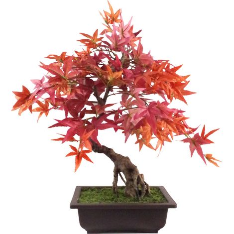50cm Artificial Red Maple Bonsai Tree (1/4)