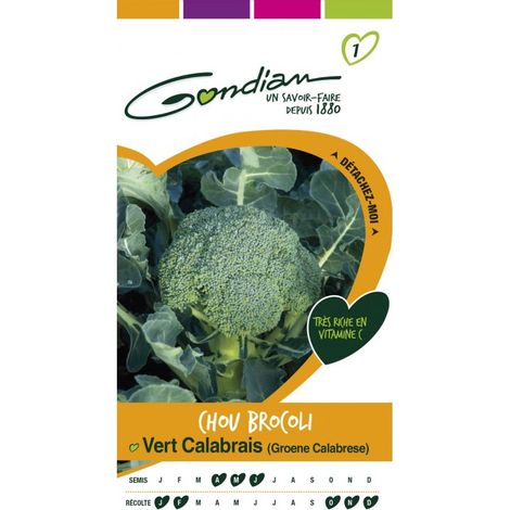 Gondian - Chou Brocoli Vert Calabrais (1/3)