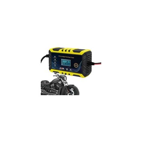 de batterie de moto chargeur de batterie pour moto Chargeur (1/5)