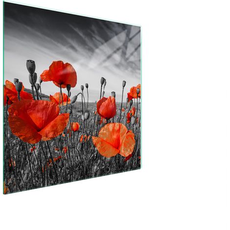 PLACA PROTECTORA DE VIDRIO PARA ESTUFA 50x52 MAKI (1/5)