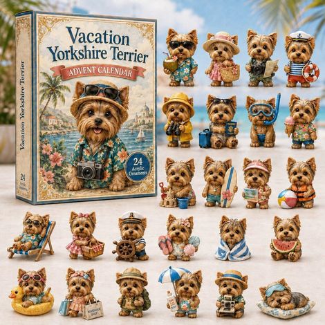 Yorkshire im Urlaub Adventskalender 2026 2D Überraschungsbox