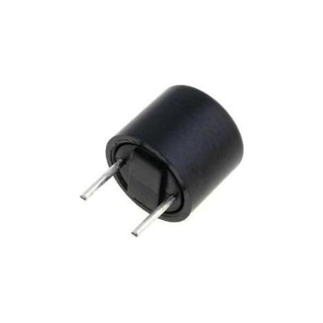 Fusible Lento Miniatura RFT-0,800Amp   R5,08mm