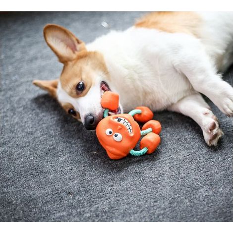 Beißspielzeug für Haustiere, Gummiballspielzeug, Beißringe mit Geräuschfunktion, bissfest und ausbruchsicher, gegen Langeweile, Hundetrainingsspielzeug (1/5)
