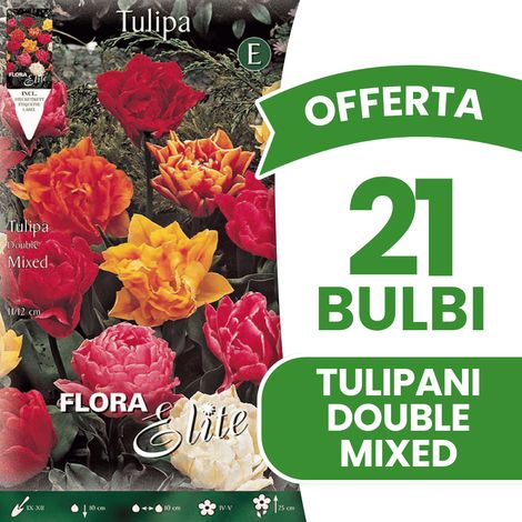 BULBI AUTUNNALI OFFERTA 21 BULBI TULIPANO A FIORE DOPPIO MIX DI COLORI BULBS BULBES